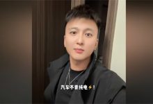 汽车不要纯电是什么意思 - 瓜多多