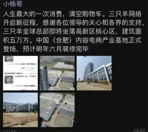 三只羊事件怎么回事?三只羊事件起因 第33张 三只羊事件怎么回事?三只羊事件起因 第33张
