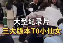 版本T0是什么意思 - 瓜多多