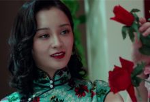 柳如烟是什么意思 - 瓜多多