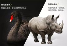 黑天鹅灰犀牛事件是什么意思 - 瓜多多