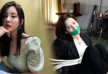 活体肉莲是什么意思？活体肉莲制作过程 - 瓜多多